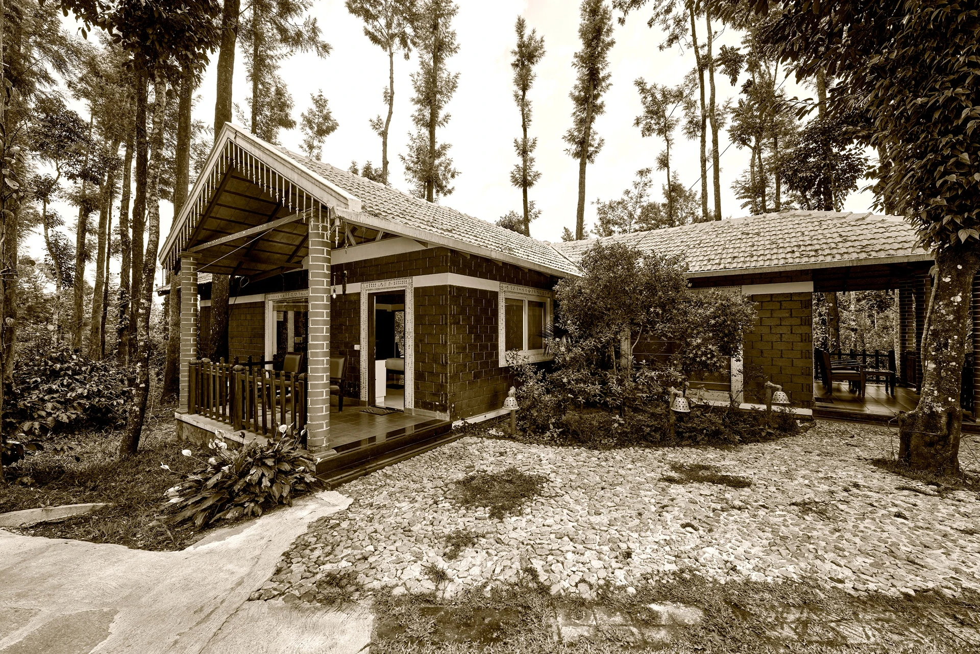 Heritage Coffee Estate